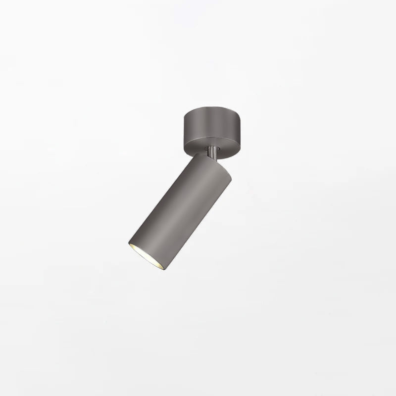 Riveia plafondspotlamp