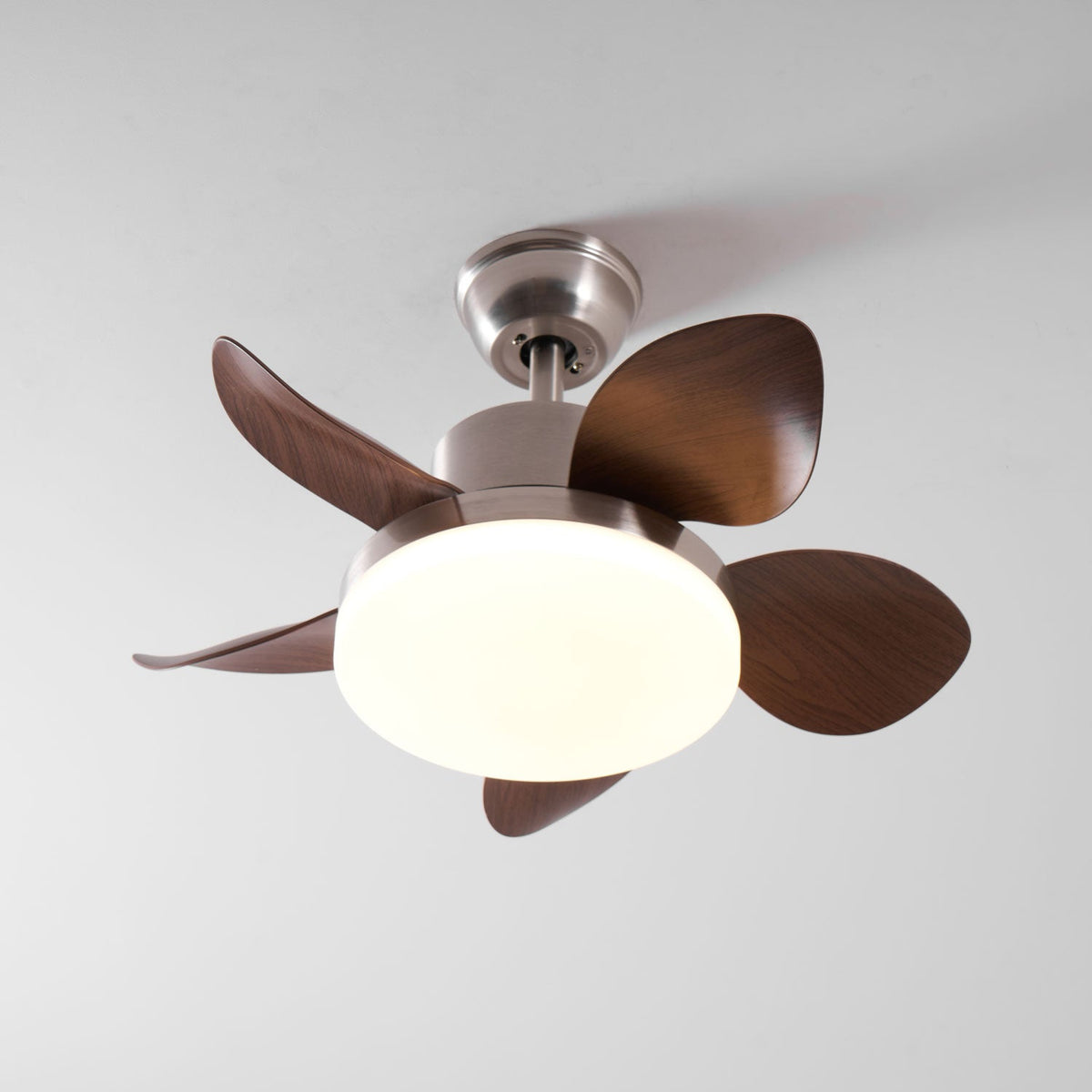 Alenya plafondventilator met verlichting van walnoothout
