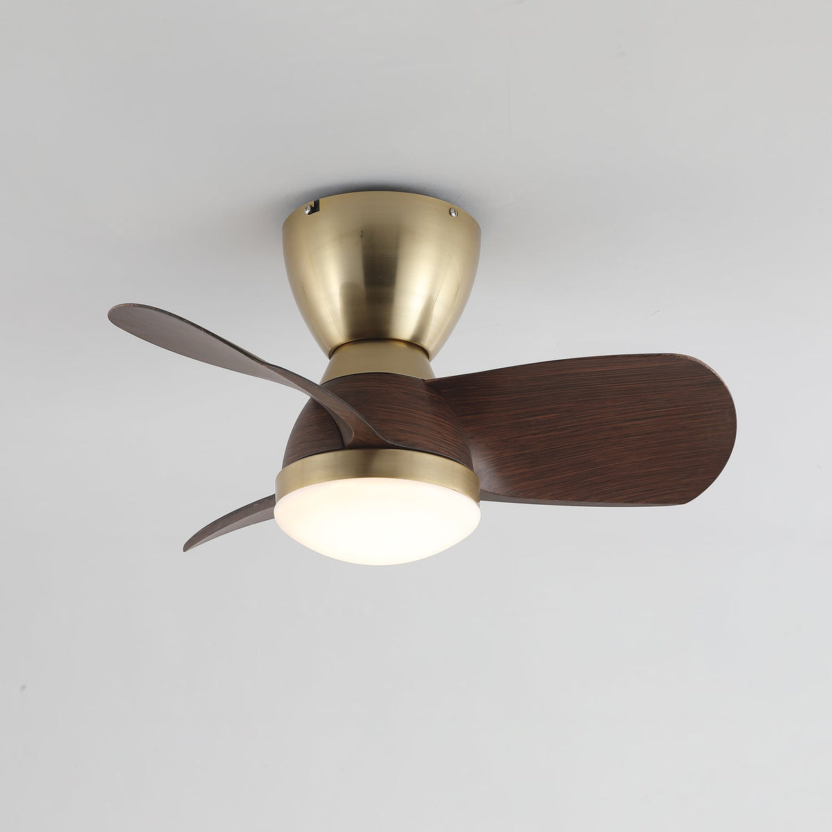 Aldiian minimalistisch messing houten plafondventilator met verlichting