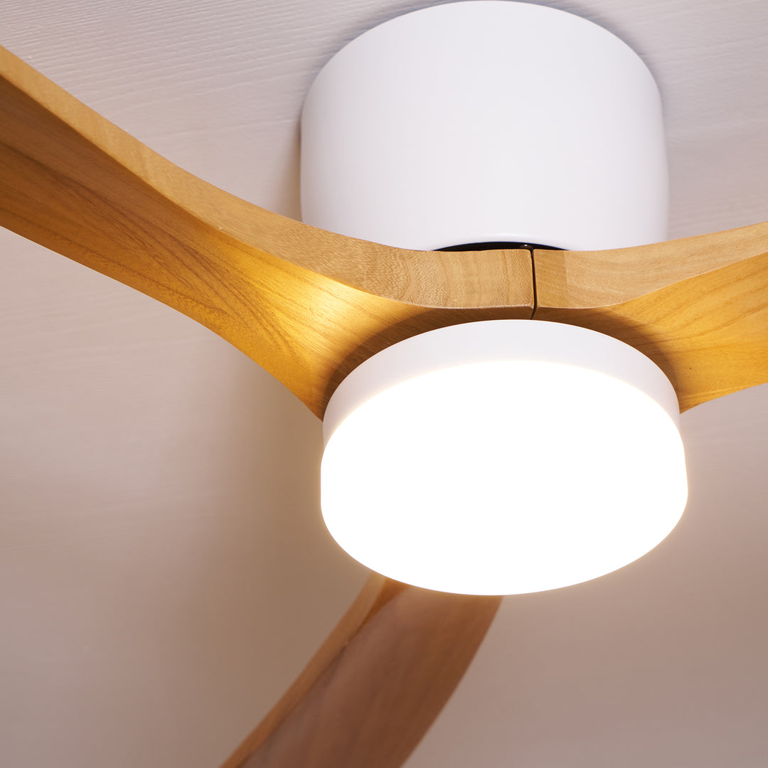 Miroise plafondventilator met verlichting