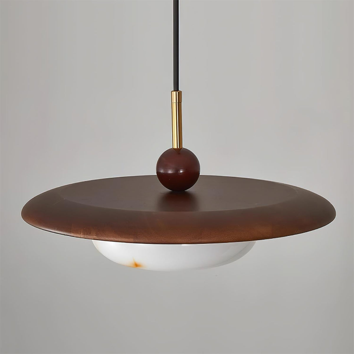 Viraeriella hanglamp
