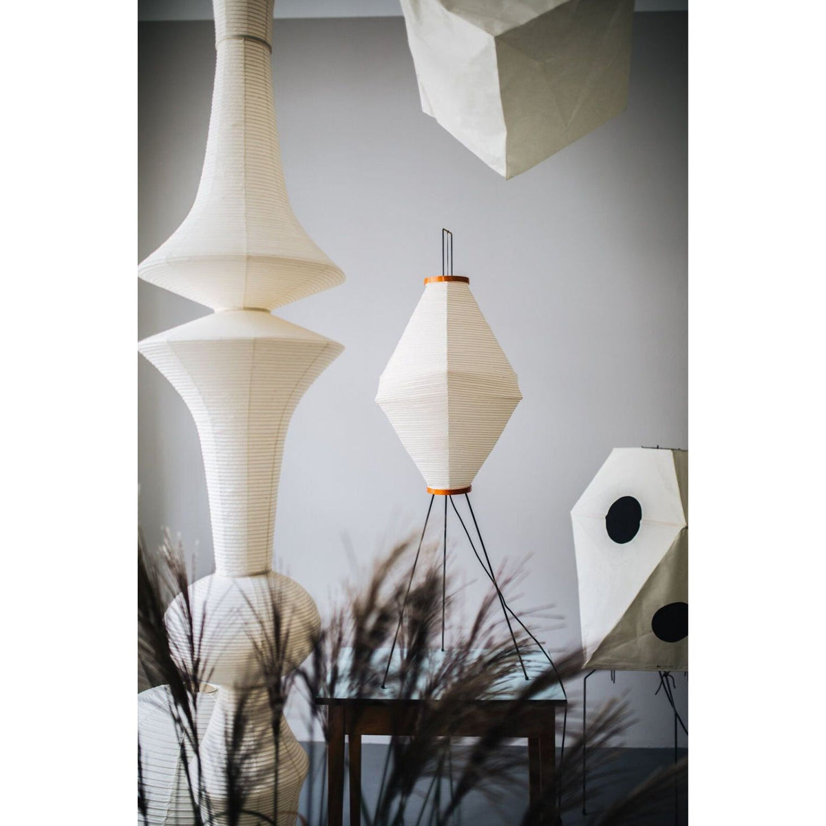Oreliviella hanglamp