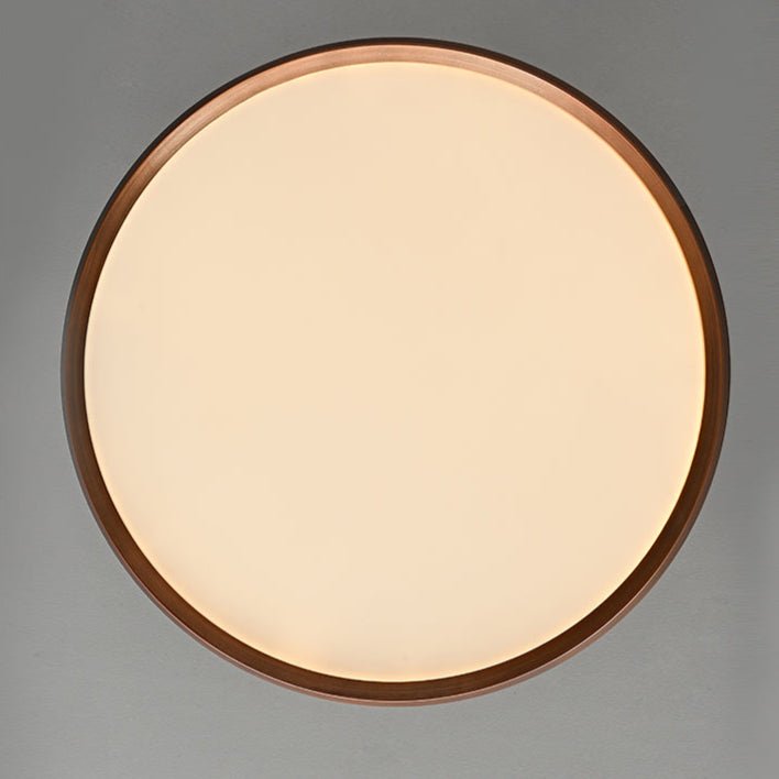 Lucaian moderne plafondlamp van acryl