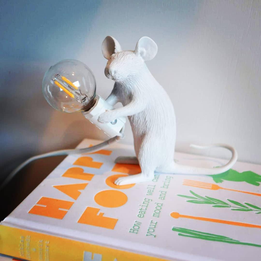 Kalinix Whimsical tafellamp van hars