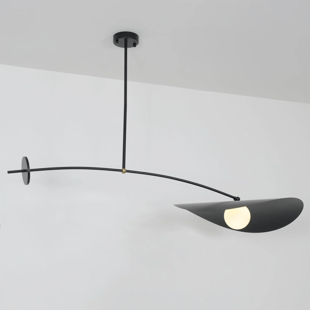 Arcflow Dynamic Curve hanglamp