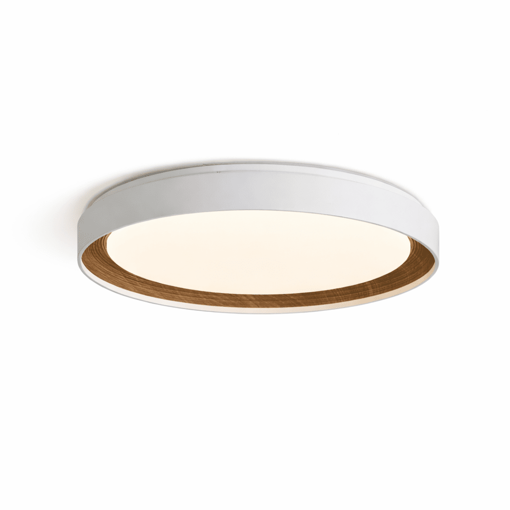 Lucien plafondlamp van acryl