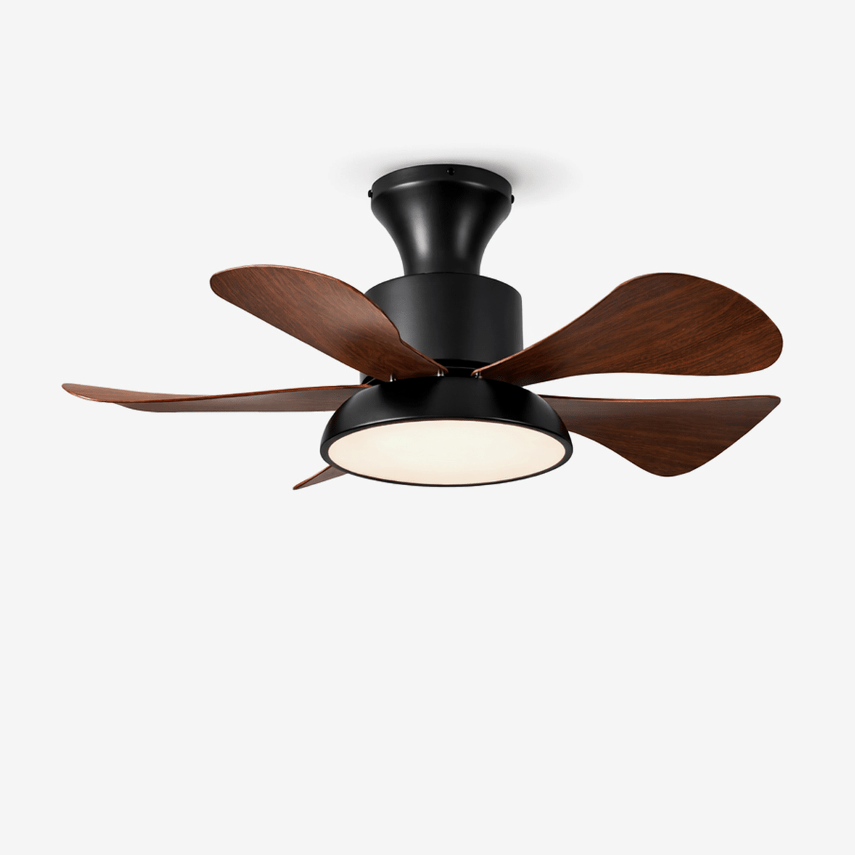 Avenereon plafondventilator met verlichting