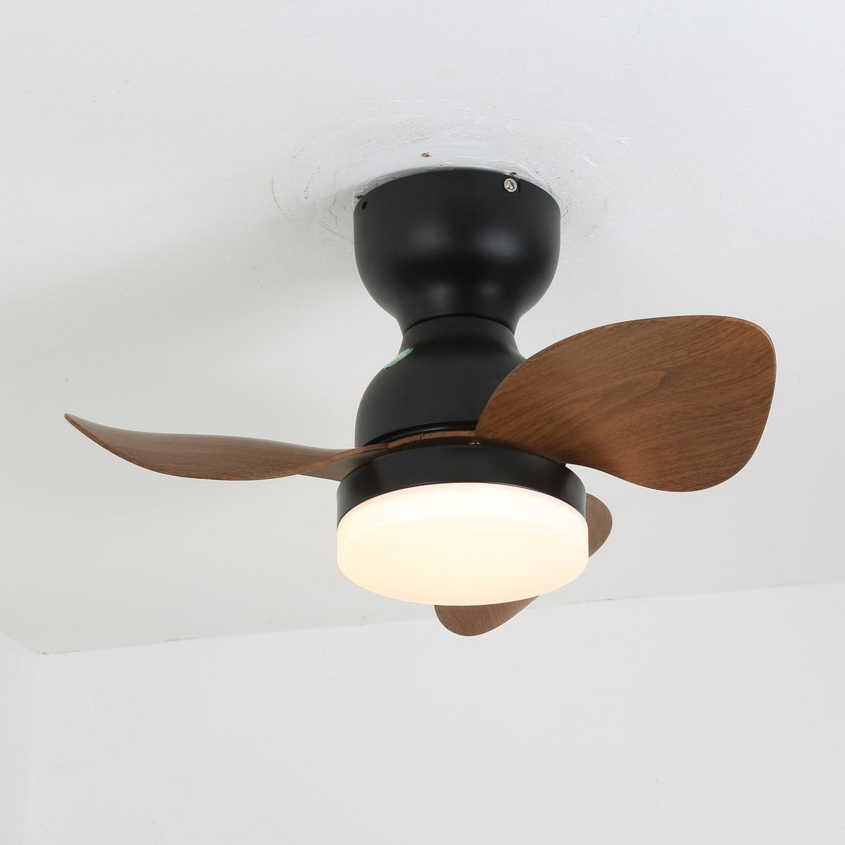 Renuina plafondventilator met verlichting