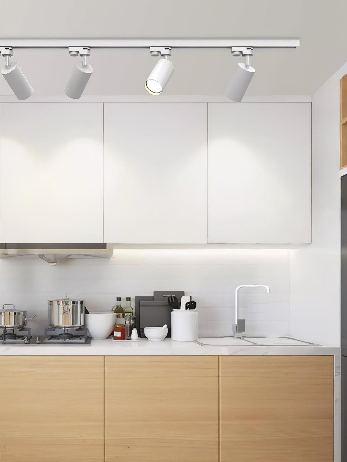 Reneaya verstelbare plafondlamp spotlight track LED