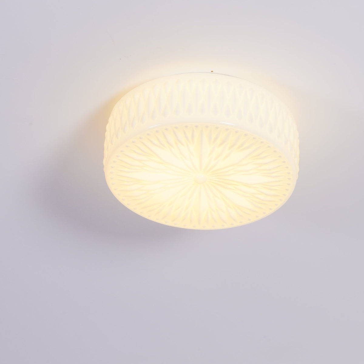 Lioriira plafondlamp glazen kap en acryl moderne maantort
