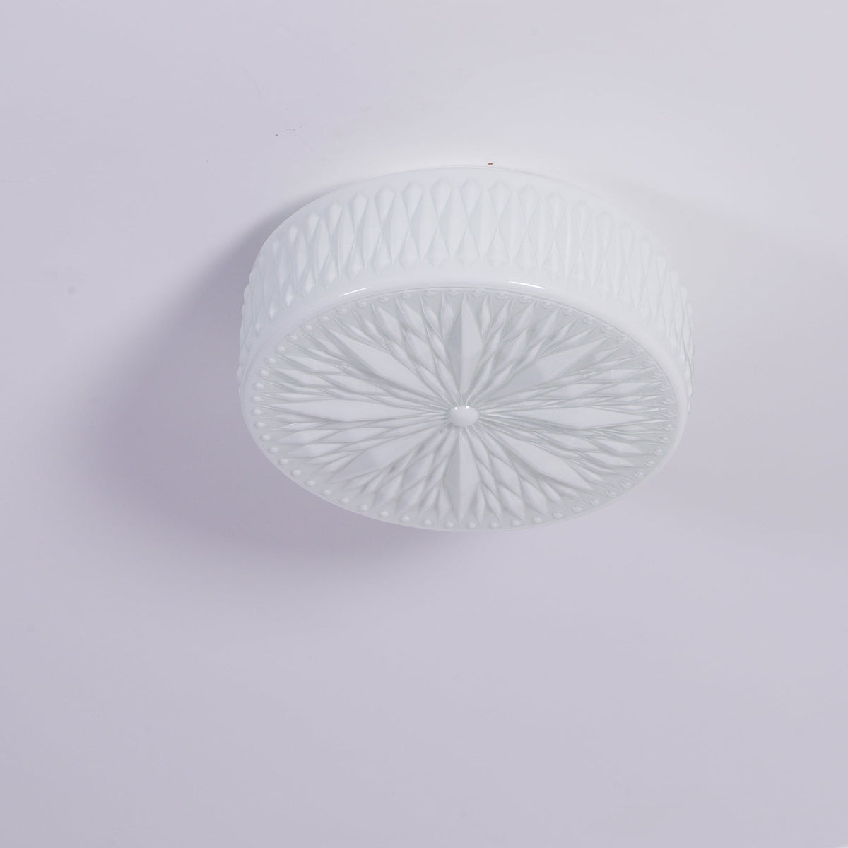 Lioriira plafondlamp glazen kap en acryl moderne maantort