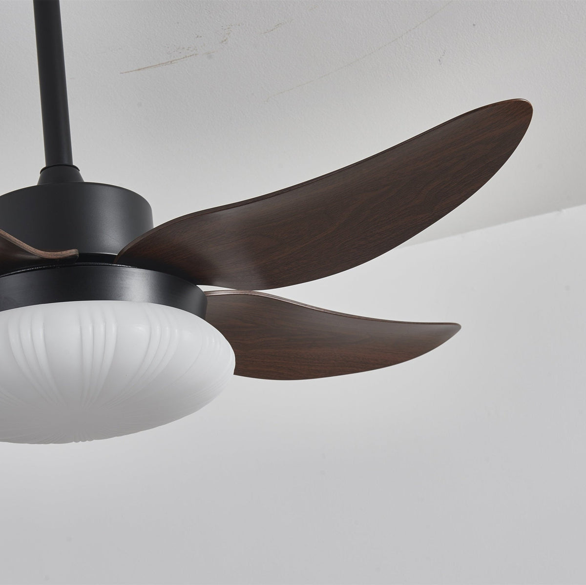 Zerith modern Hout Plafondventilator met lamp