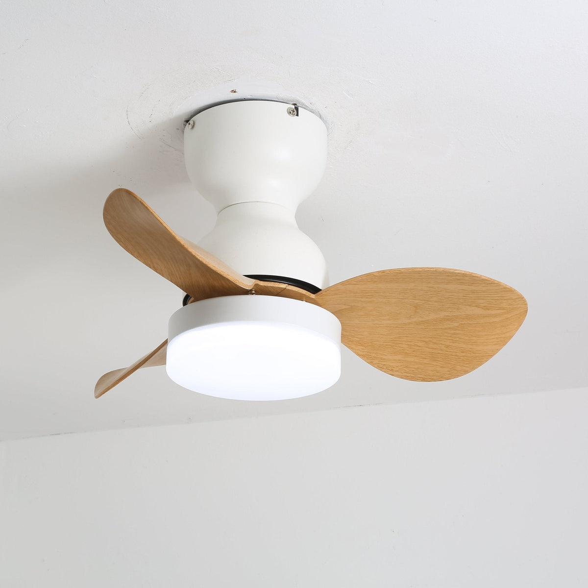 Renuina plafondventilator met verlichting