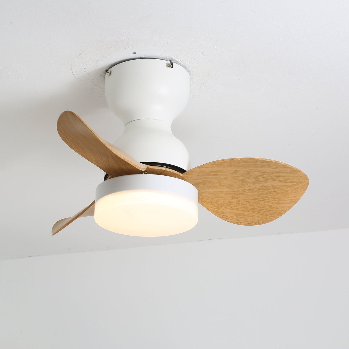 Renuina plafondventilator met verlichting