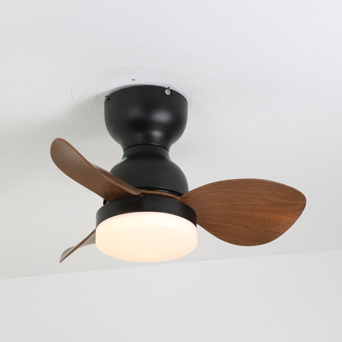 Renuina plafondventilator met verlichting