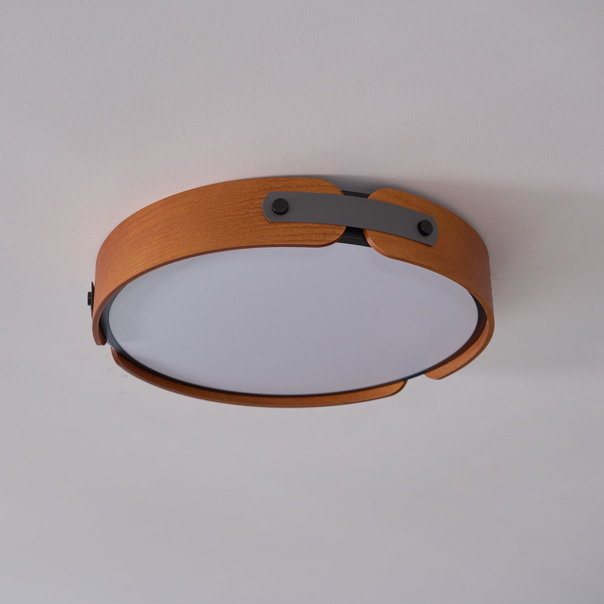 Sylarina Houten plafondlamp