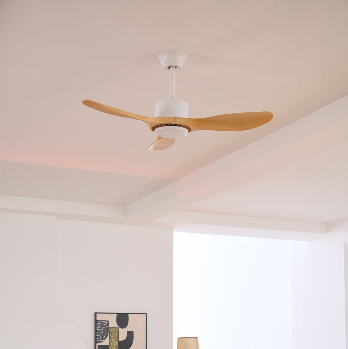 Aldaine minimalistisch houten plafondventilator
