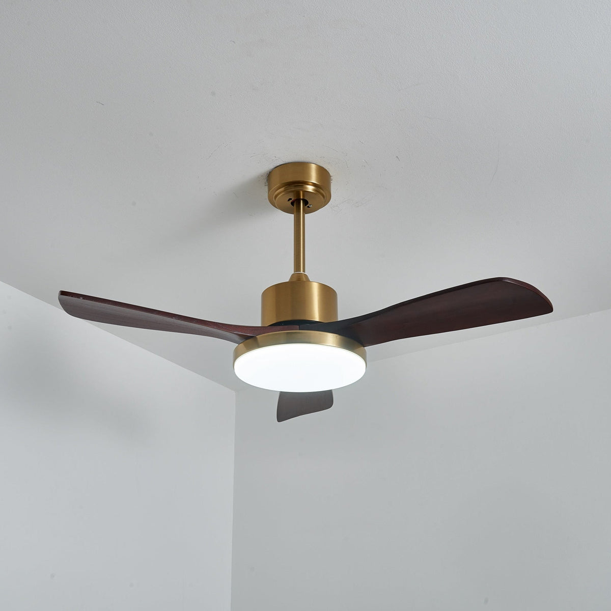 Xen Moderne plafondventilator met verlichting van walnoothout