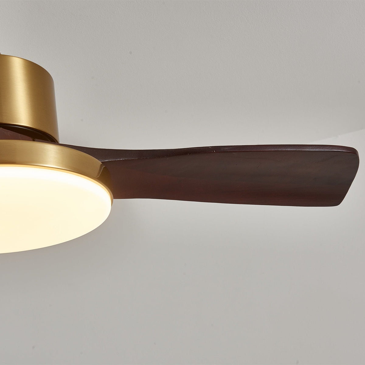 Xen Moderne plafondventilator met verlichting van walnoothout