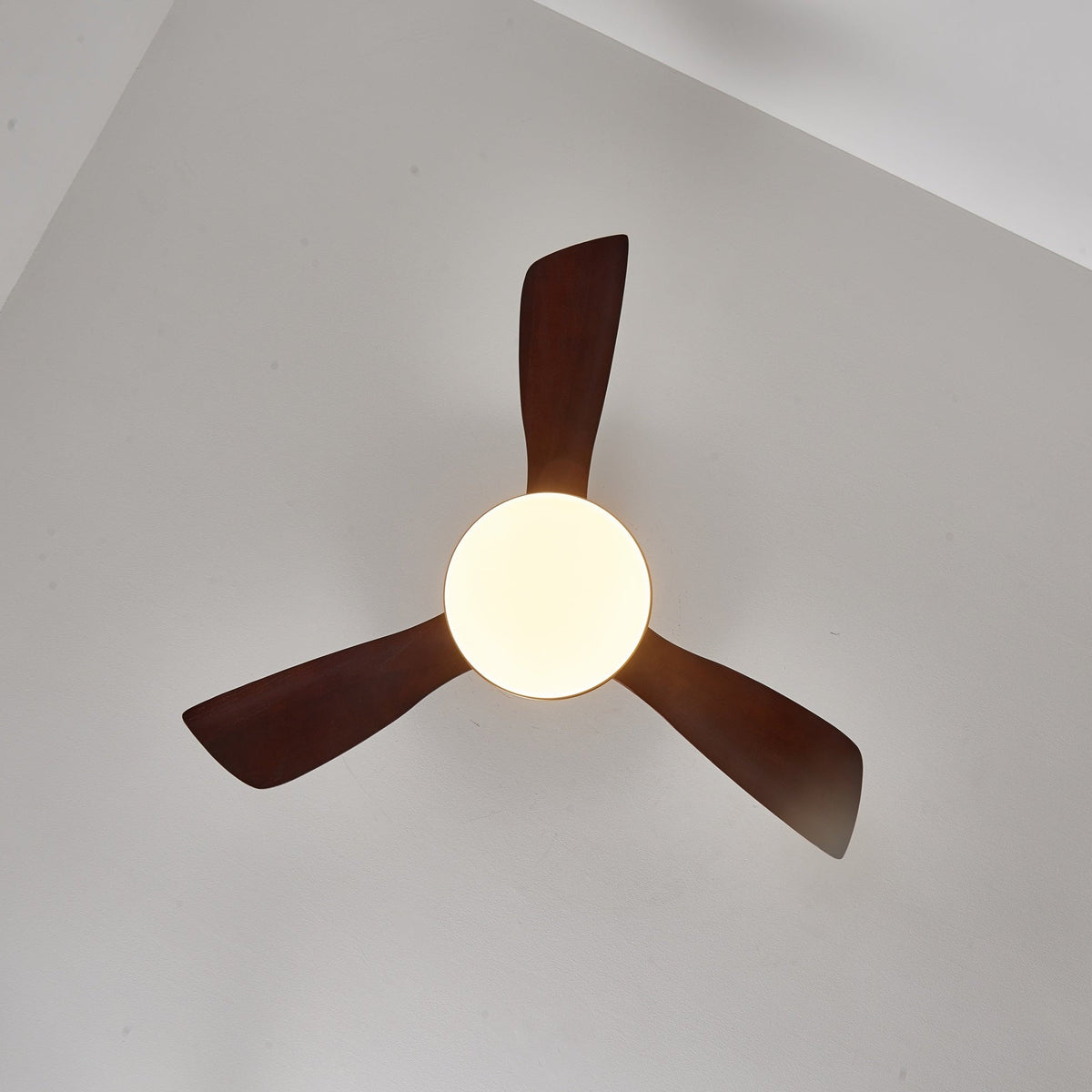 Xen Moderne plafondventilator met verlichting van walnoothout