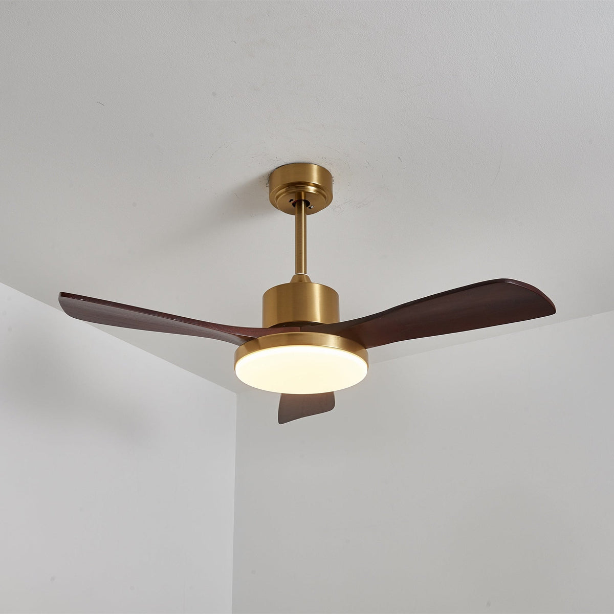 Xen Moderne plafondventilator met verlichting van walnoothout