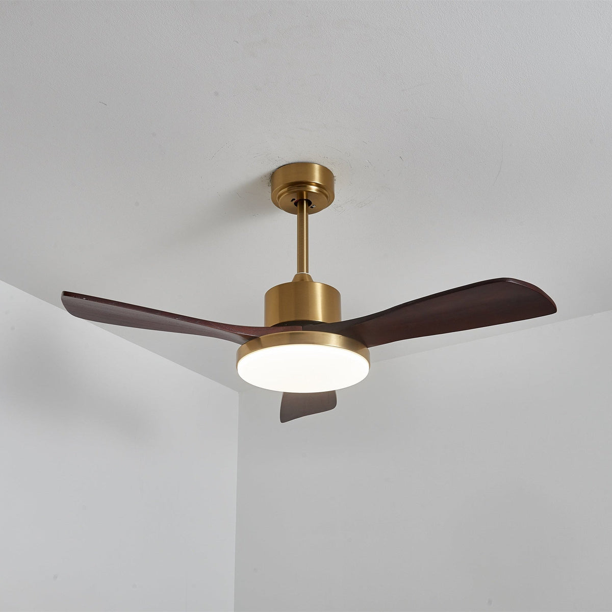 Xen Moderne plafondventilator met verlichting van walnoothout
