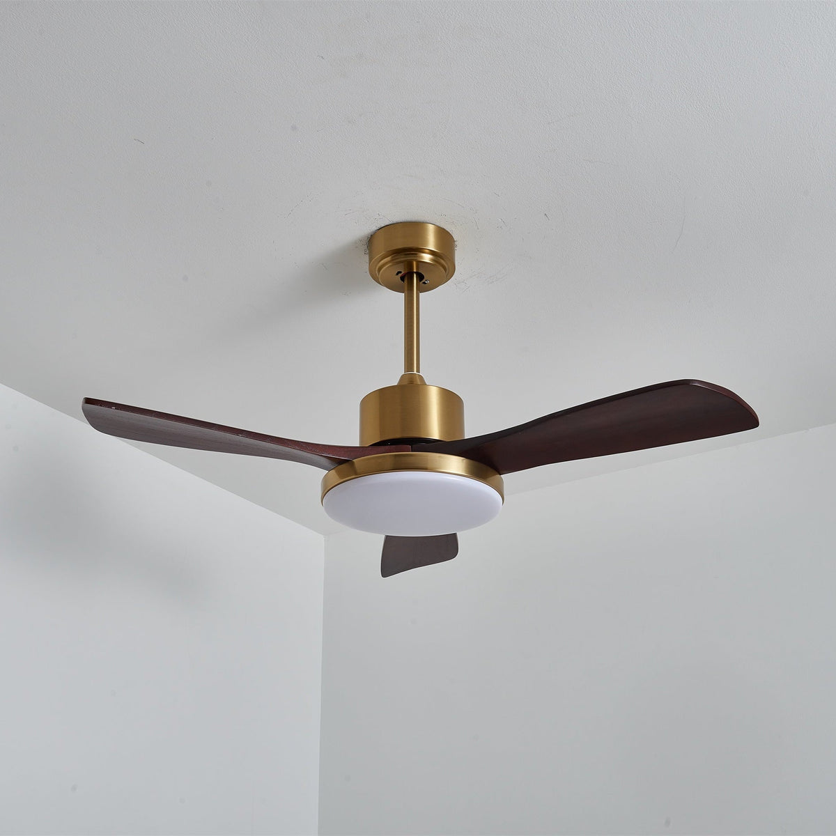 Xen Moderne plafondventilator met verlichting van walnoothout