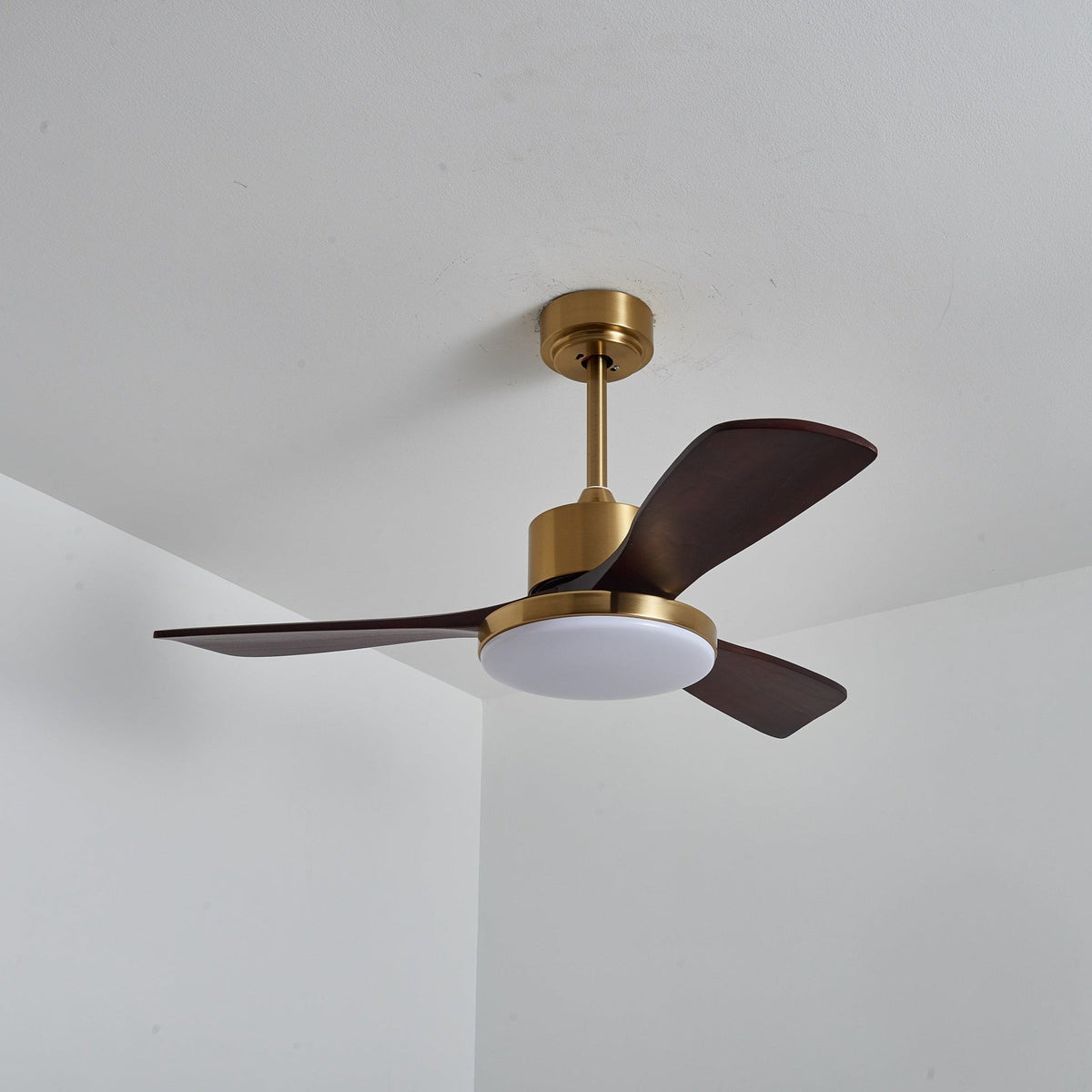 Xen Moderne plafondventilator met verlichting van walnoothout