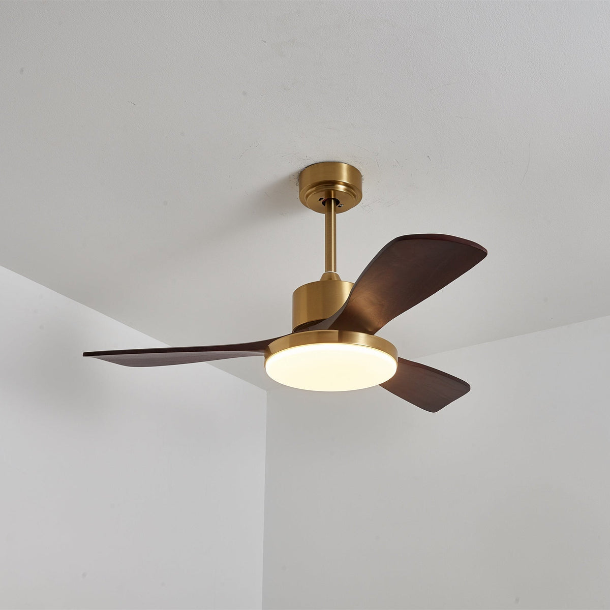 Xen Moderne plafondventilator met verlichting van walnoothout