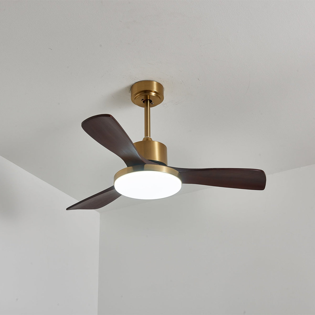 Xen Moderne plafondventilator met verlichting van walnoothout