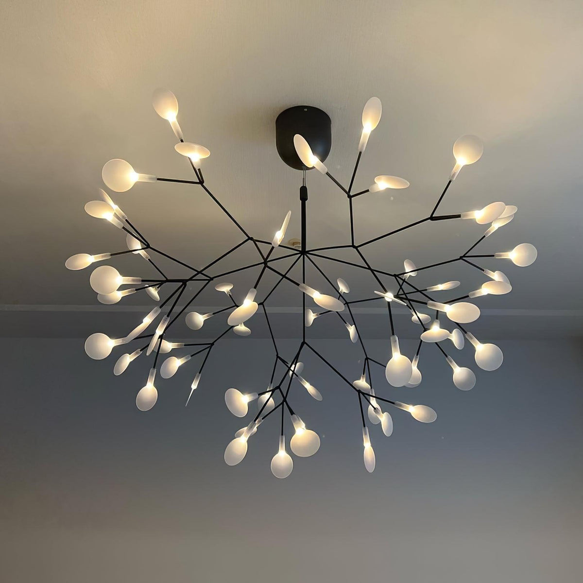 Zwarte Firefly ledkroonluchter