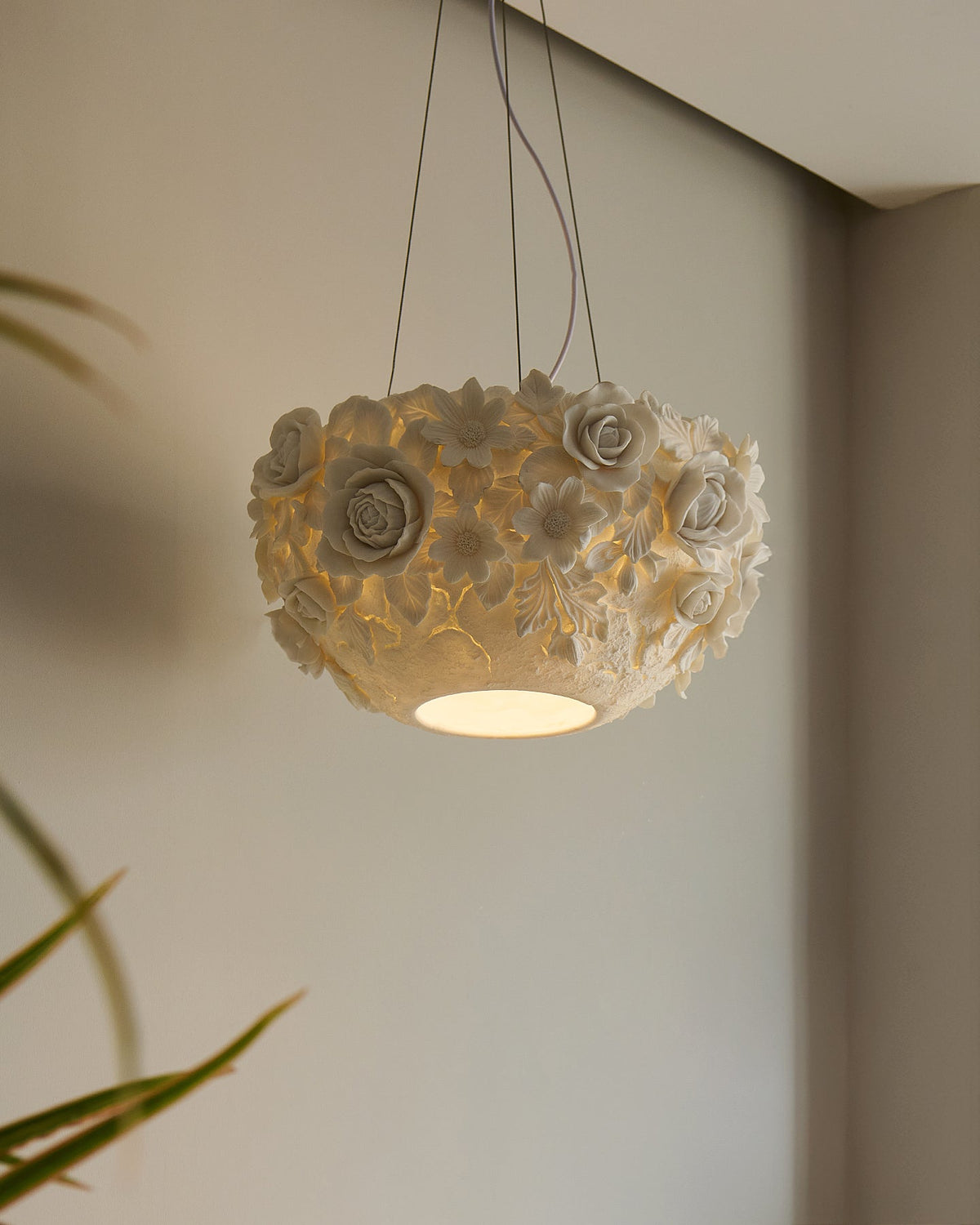 Liorineria hanglamp