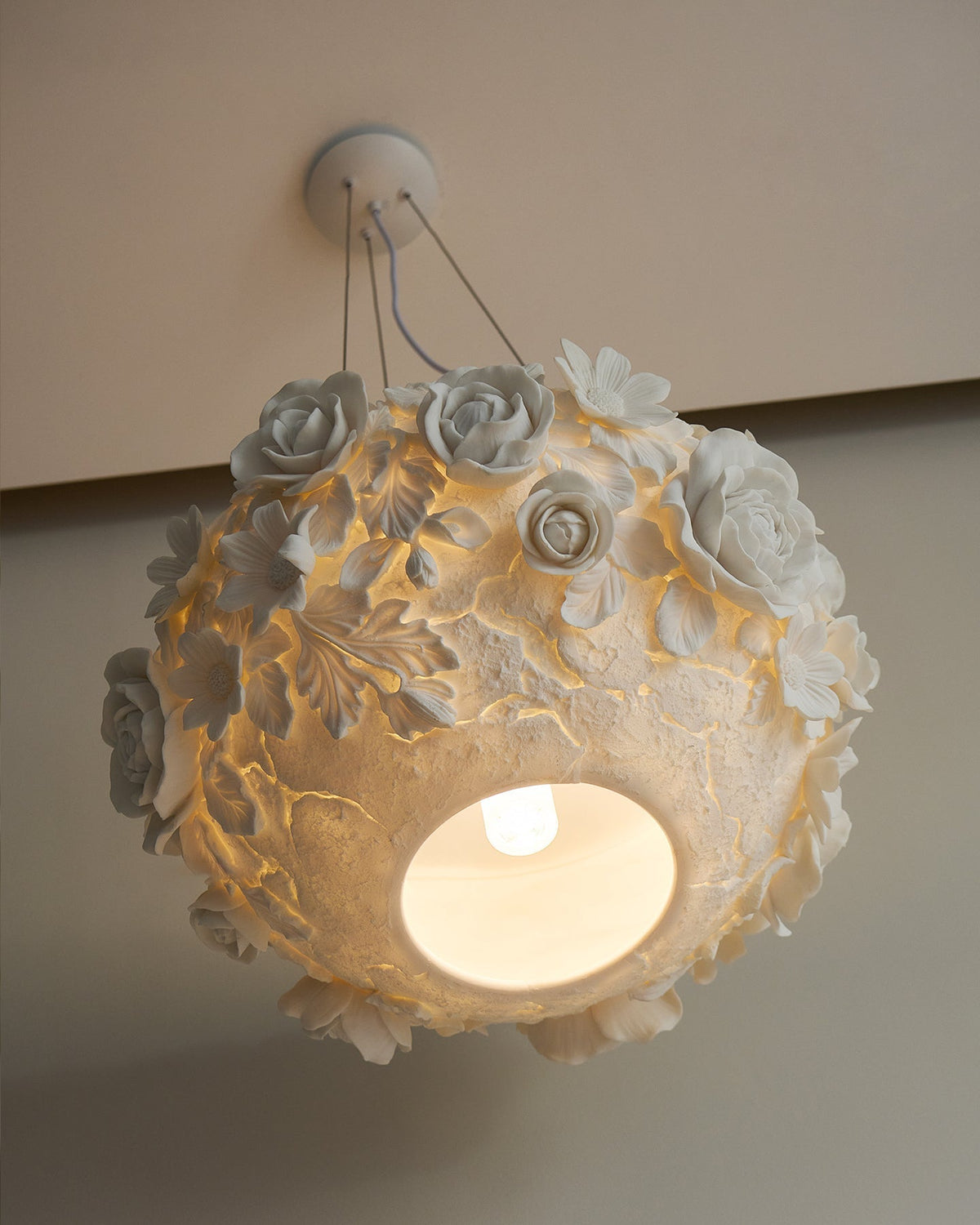 Liorineria hanglamp
