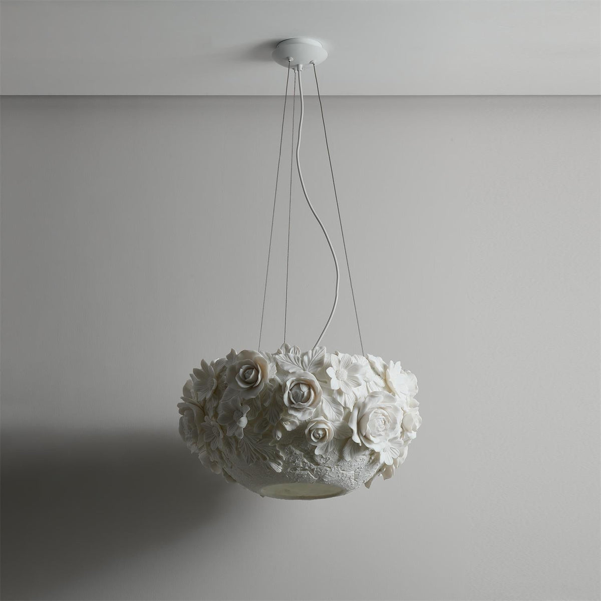 Liorineria hanglamp