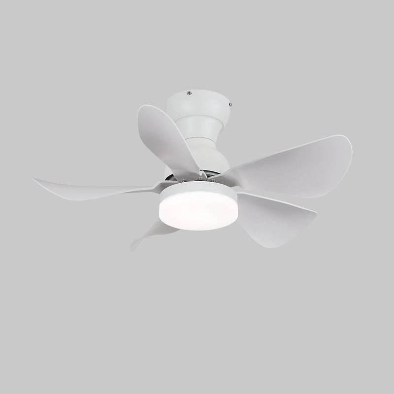 Elvanelle plafondventilator met verlichting van walnoot