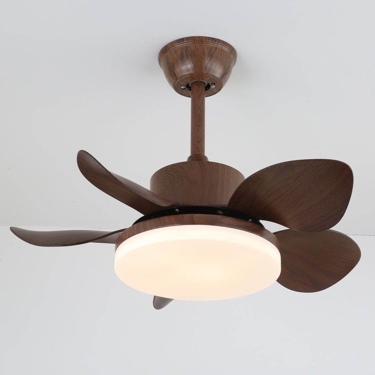 Alenya plafondventilator met verlichting van walnoothout