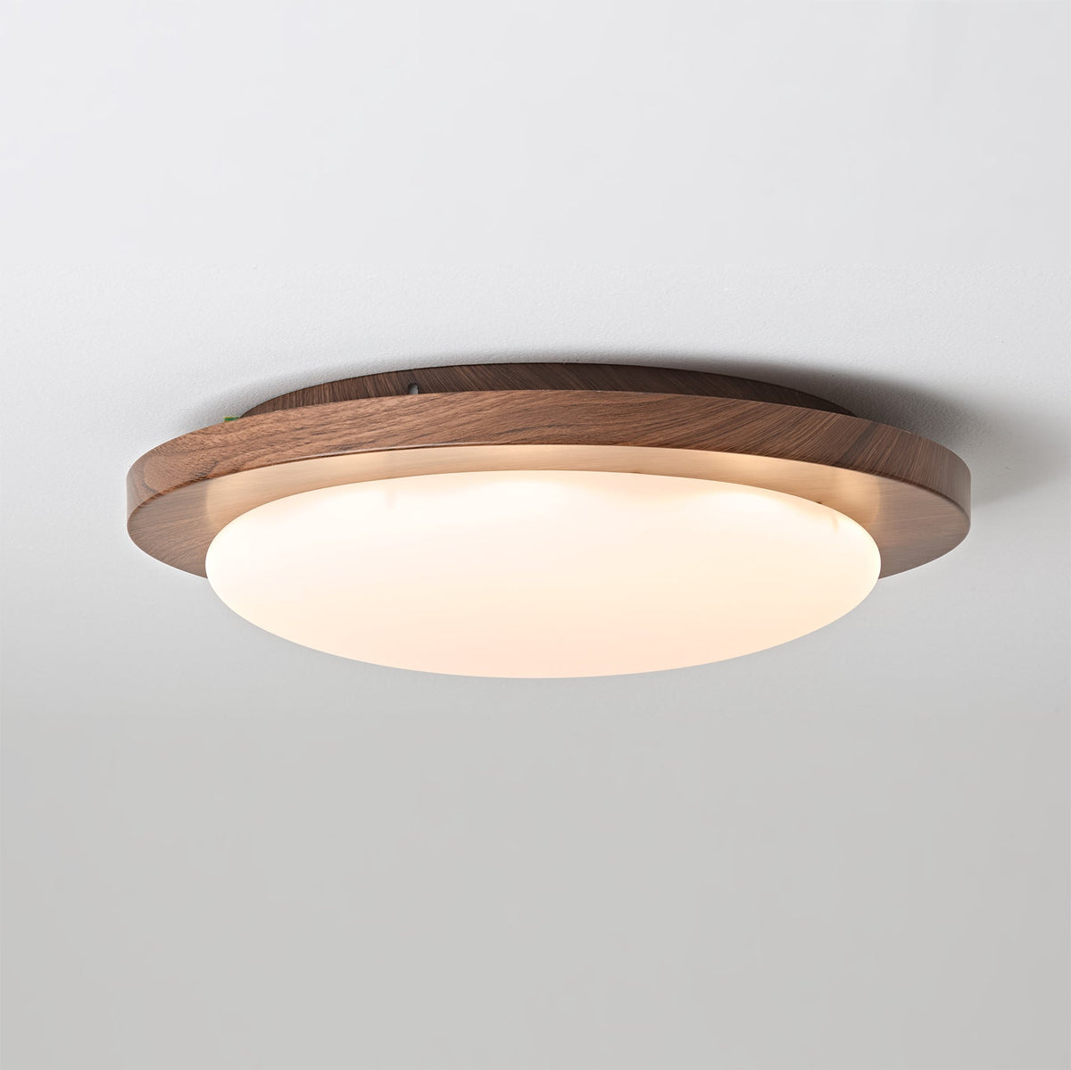 Rivorella plafondlamp