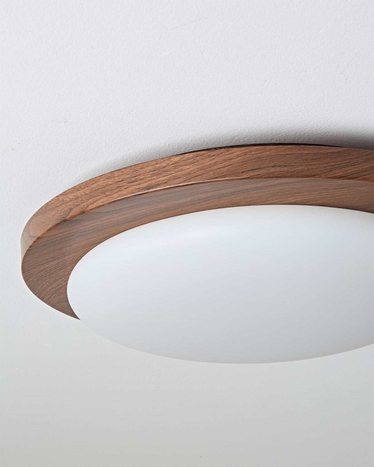 Rivorella plafondlamp