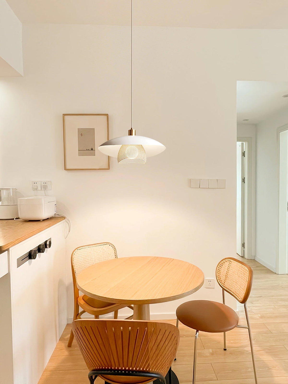 Elaenira hanglamp