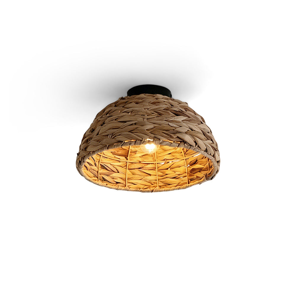 Elauiella plafondlamp