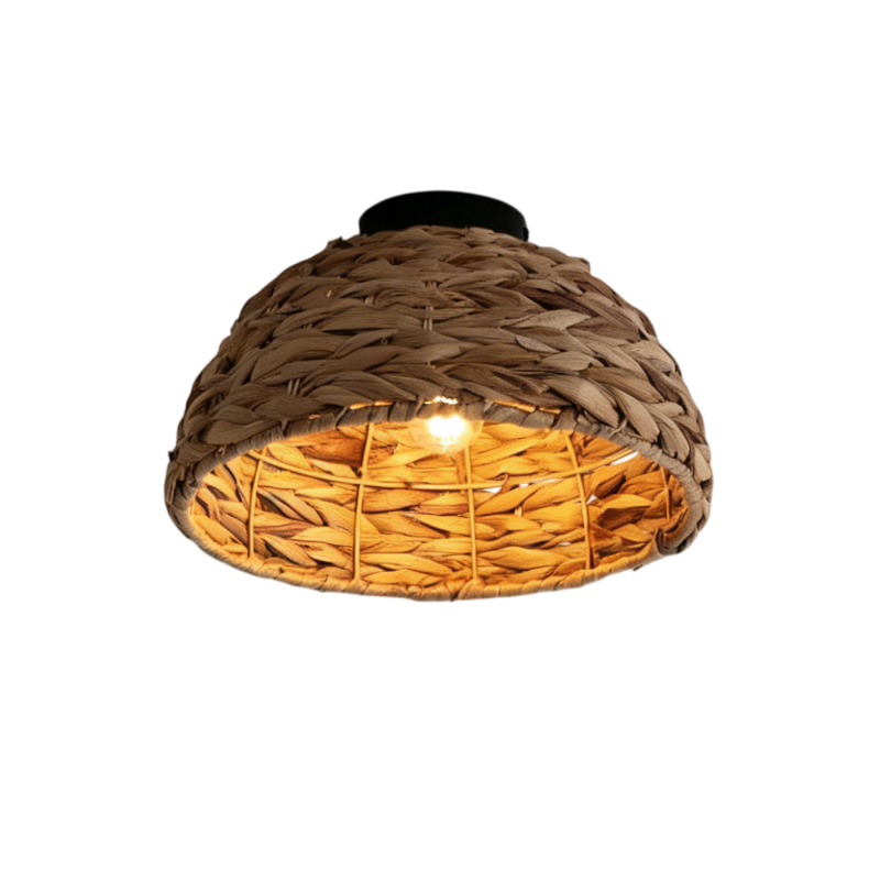 Elauiella plafondlamp