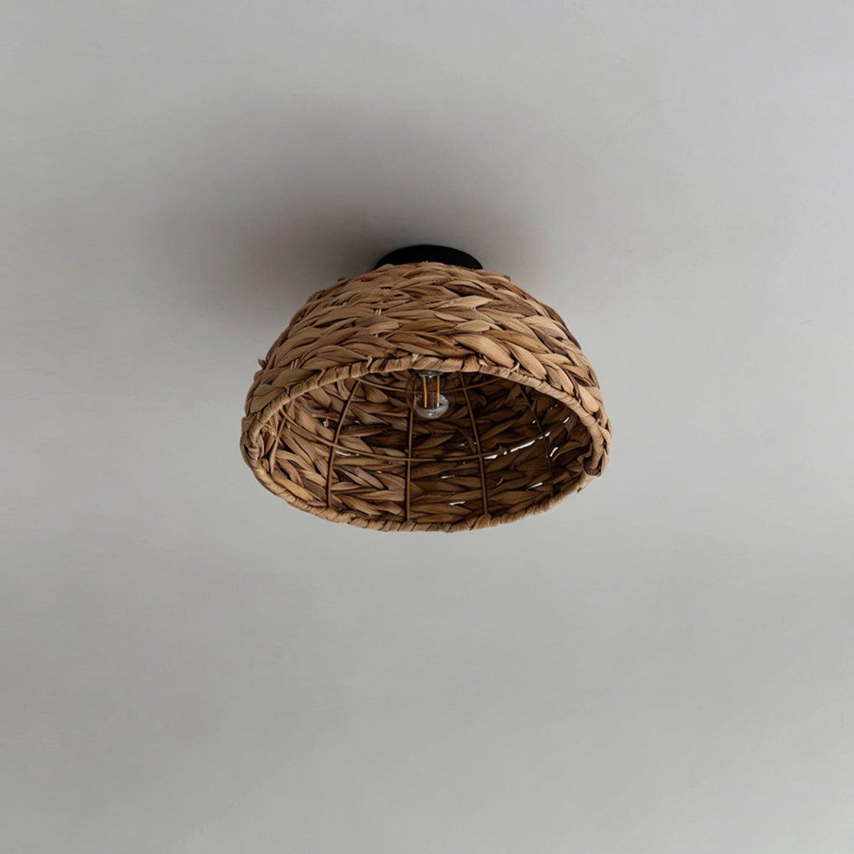 Elauiella plafondlamp