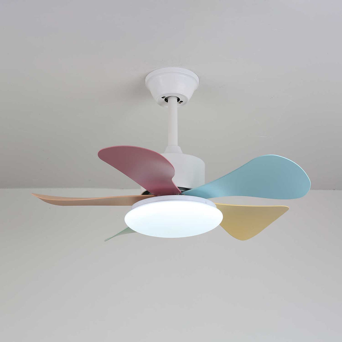 Celoia kleurrijke plafondventilator met verlichting van glas