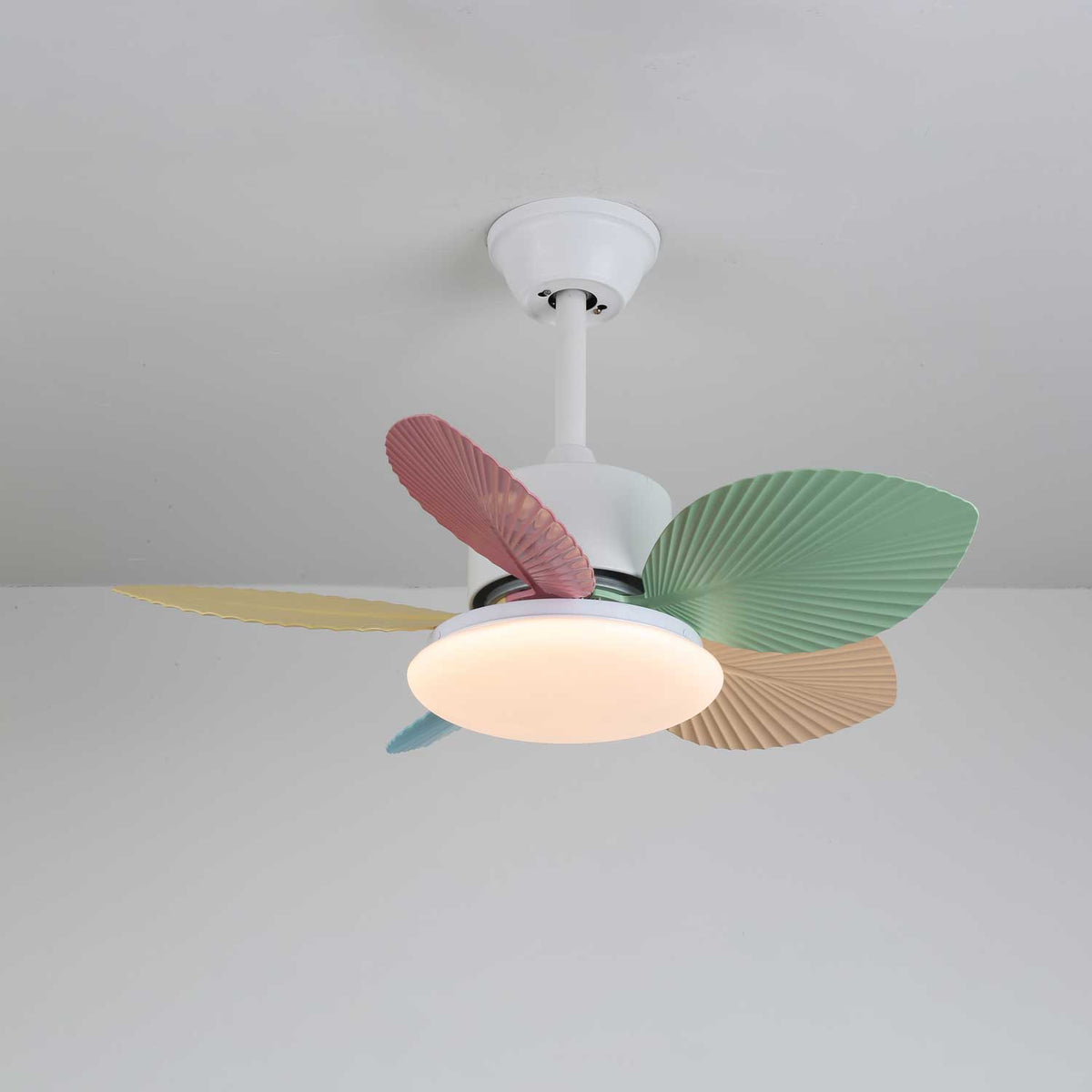 Celoia kleurrijke plafondventilator met verlichting van glas