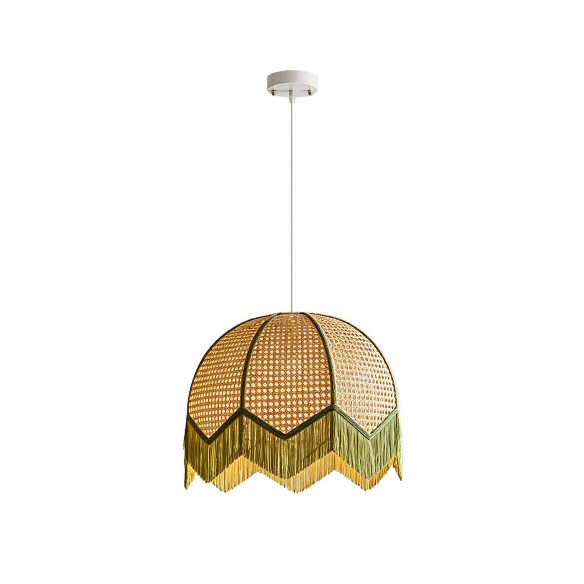 Lioroiella hanglamp