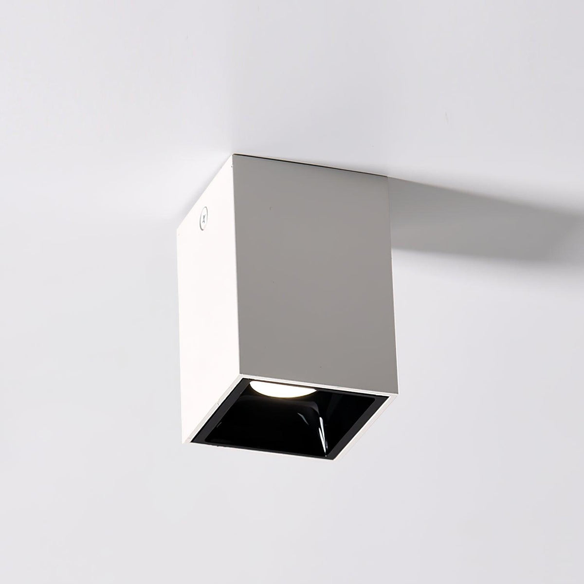 Orelaniella plafondlamp vierkant zwart spotlight