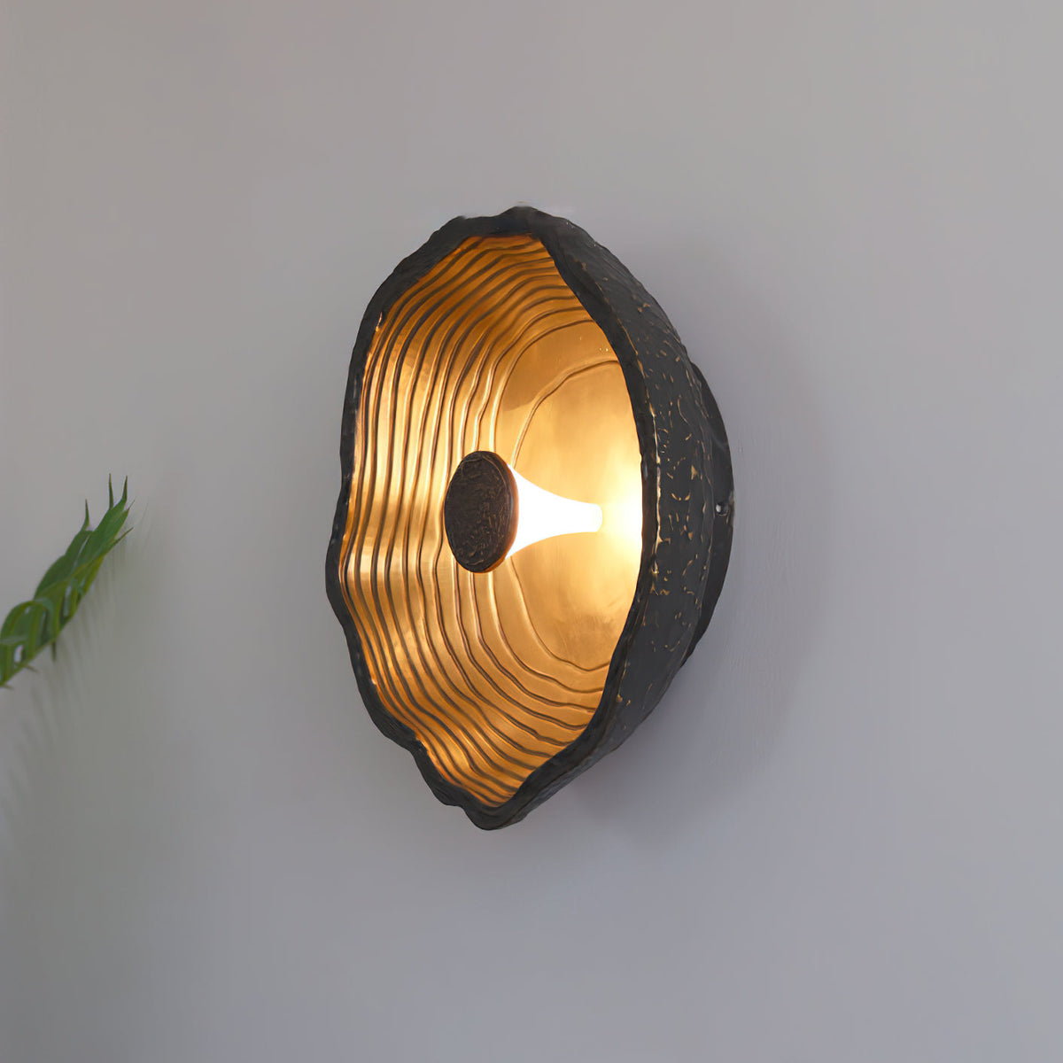 Selivelia wandlamp