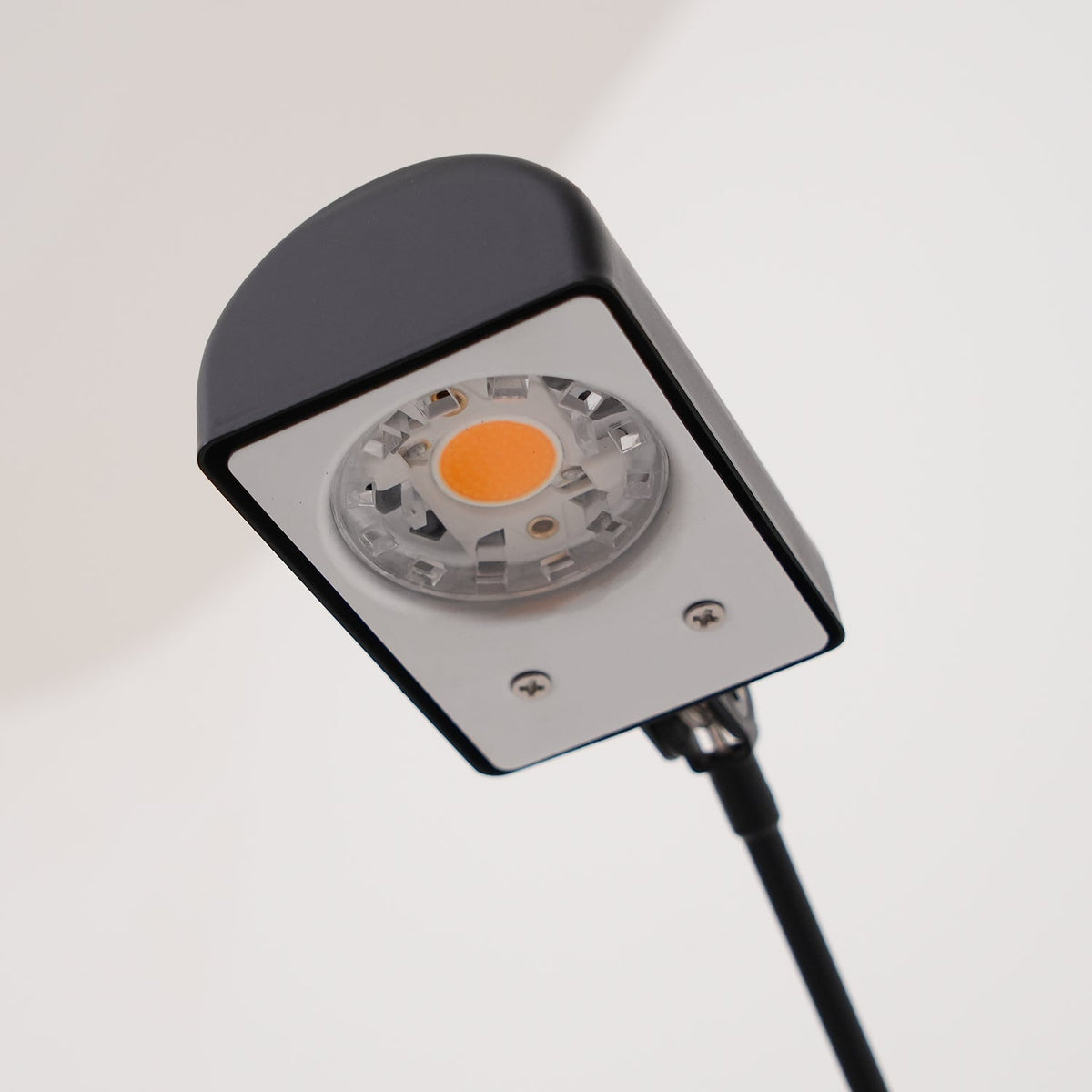 Daphine vloerlamp