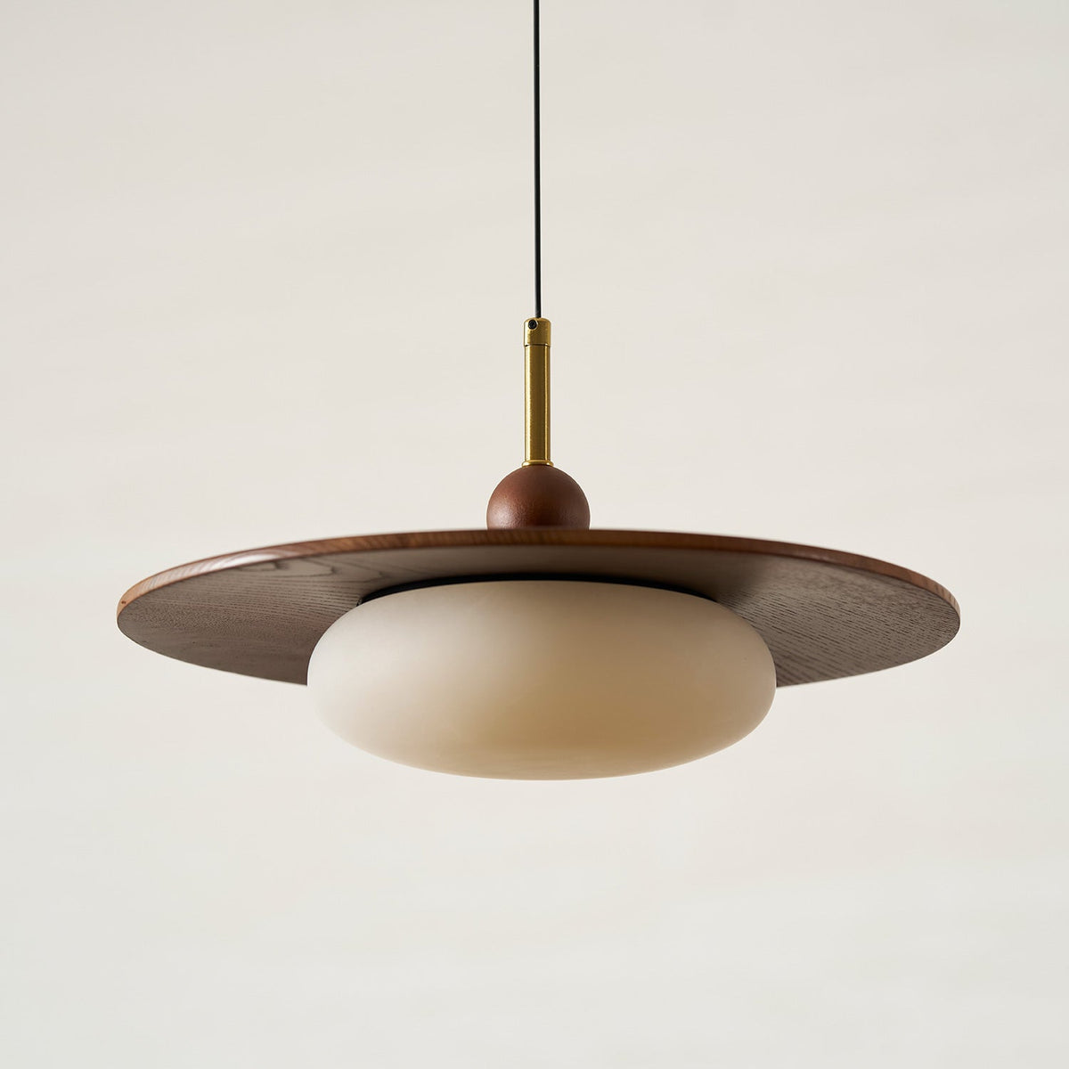 Viraeriella hanglamp