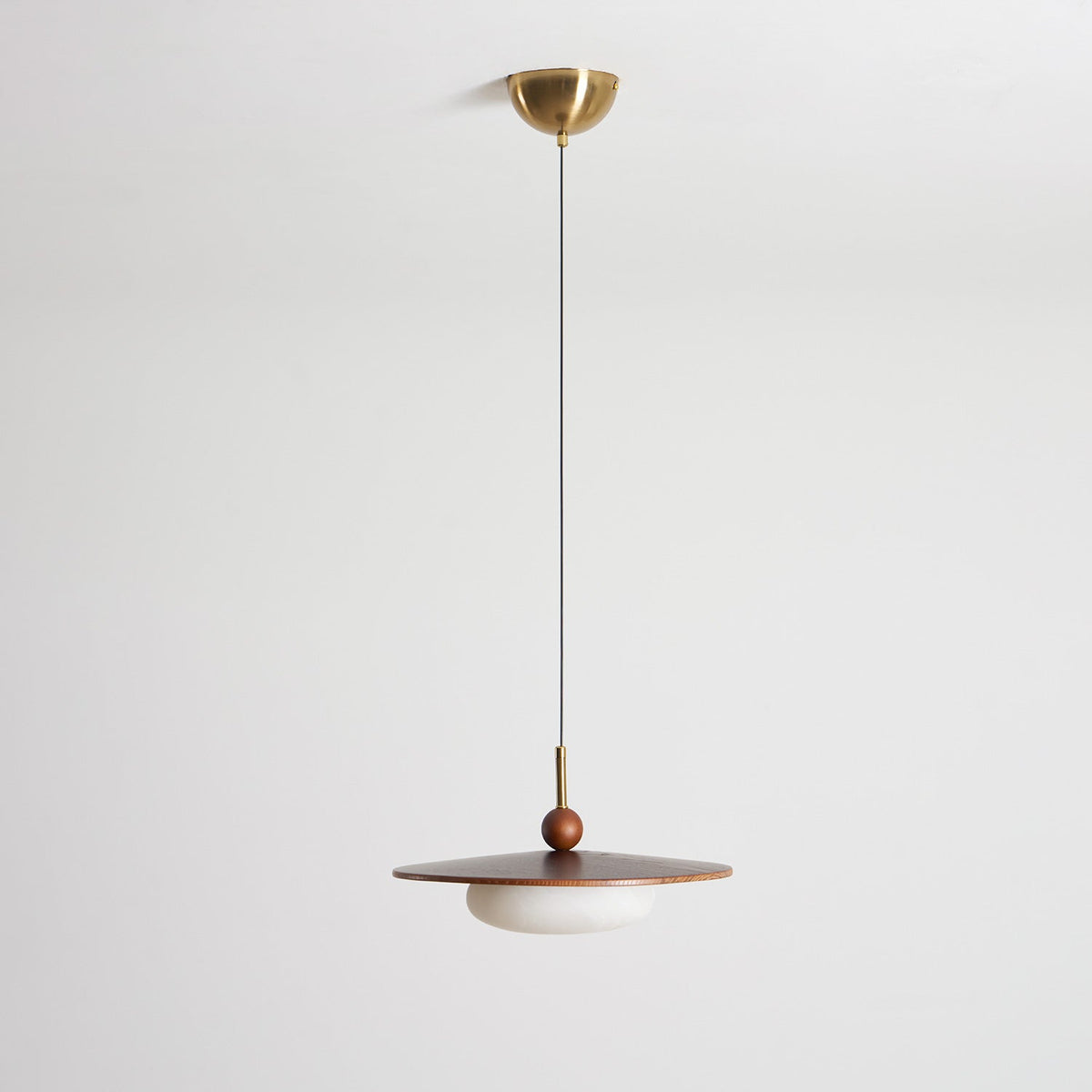 Viraeriella hanglamp